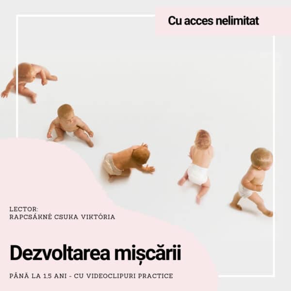 Curs Online De Dezvoltare A Mișcării