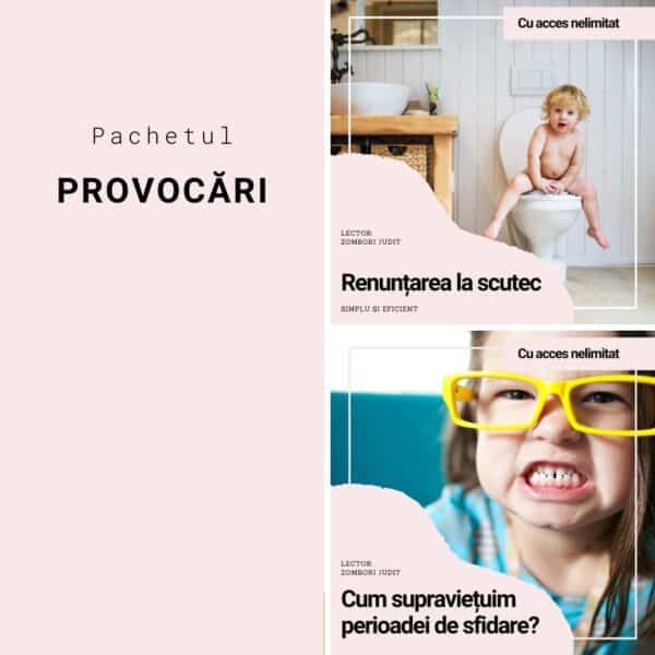 Cum să supraviețuim perioadei de sfidare - curs online Proces normal sau anormal? De ce le este atât de frică părinților? Poate fi evitată această perioadă? Pregătește-te alături de noi pentru această perioadă!